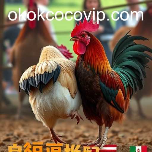 The Rise of Online Sabong: Exploring the Phenomenon of Digital Cockfighting